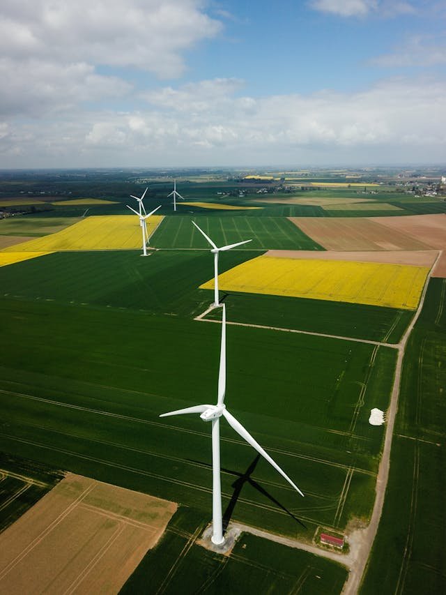 pexels-alexey-komissarov-85164430-9022671